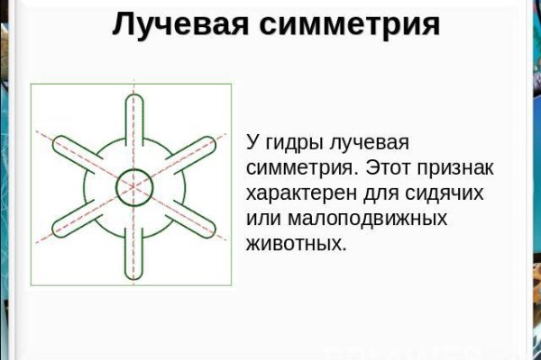 Кракен магазин морепродуктов