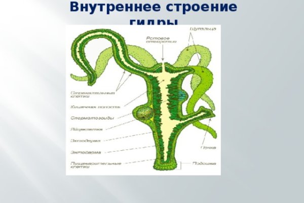 Кракен сайт что это