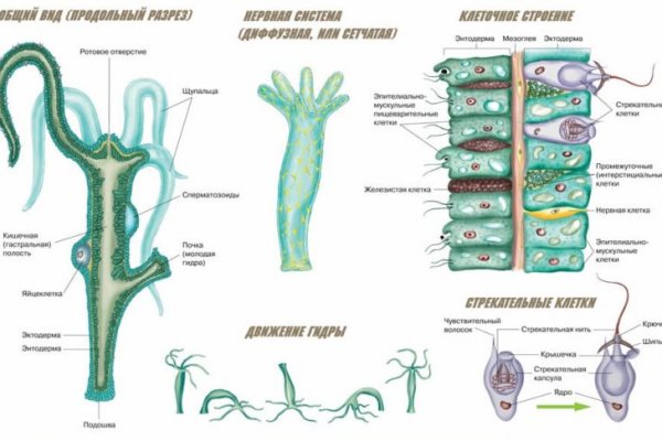 Кракен вход ссылка kraken torion net