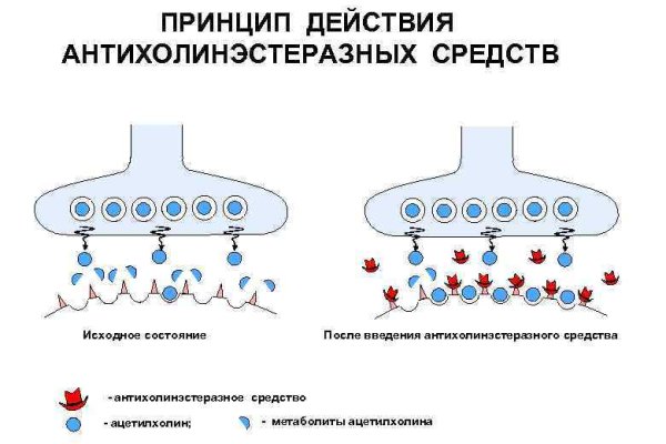 Логин и пароль от кракен