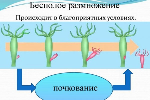 Кракен сайт закладок